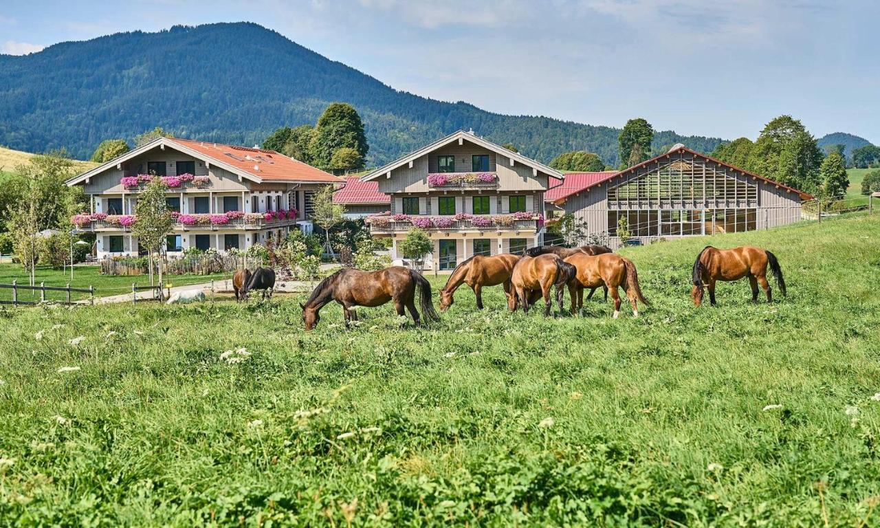 Hof Hauserbichl Fischbachau Εξωτερικό φωτογραφία
